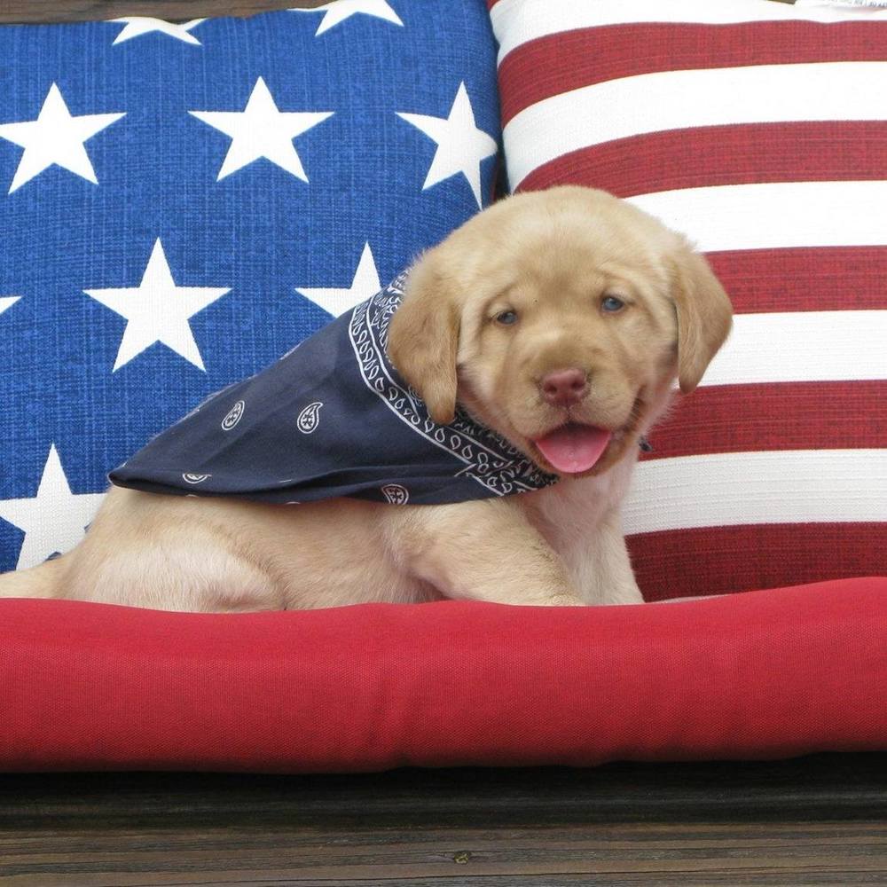 Meet your Posher, Terri